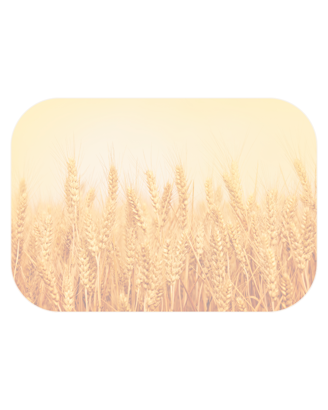 Allergies & Intolerances