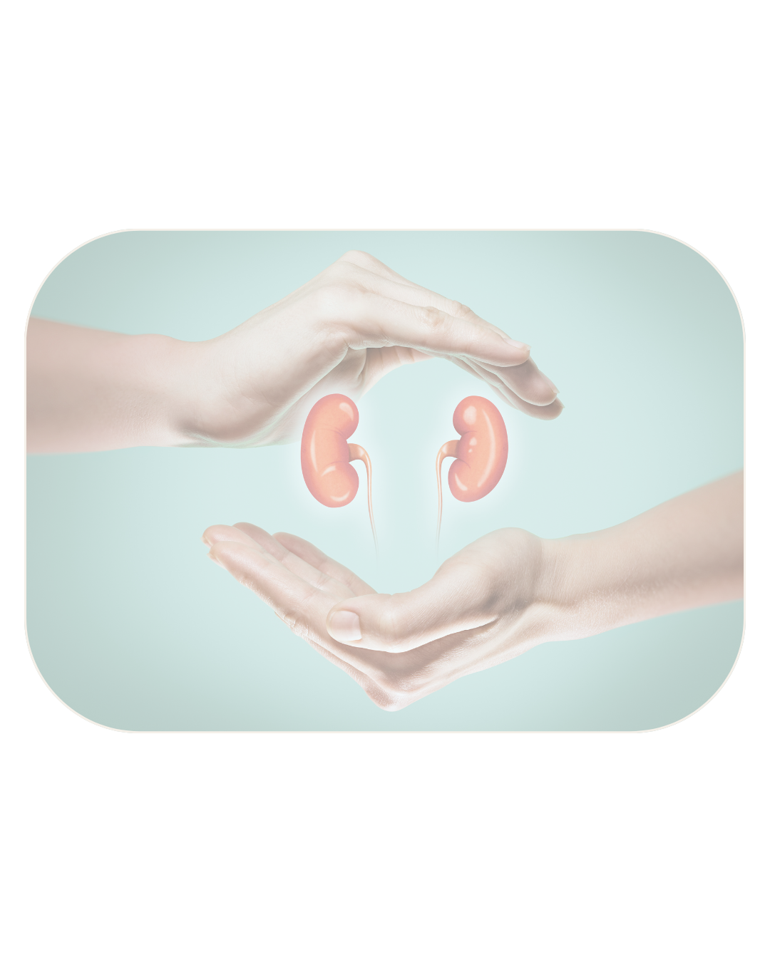 Kidney Disease
